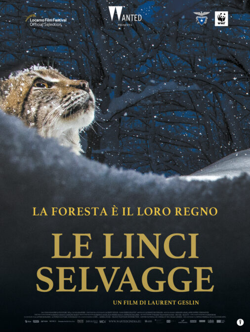 le-linci-selvagge--poster-ita-web-61k4